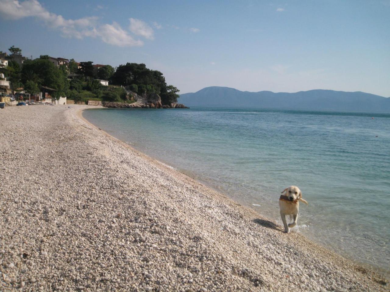 Stara Kuca Estate Villa Ljubuški Exteriör bild